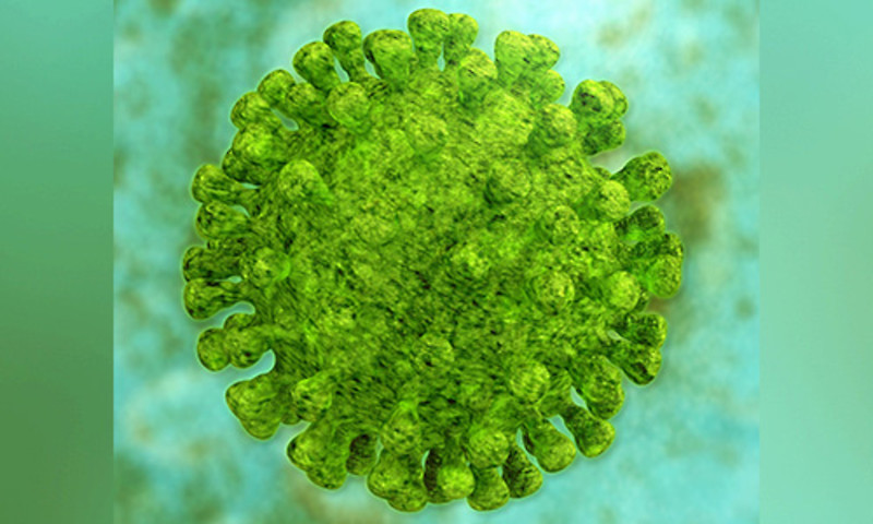 Informationen zum Coronavirus
