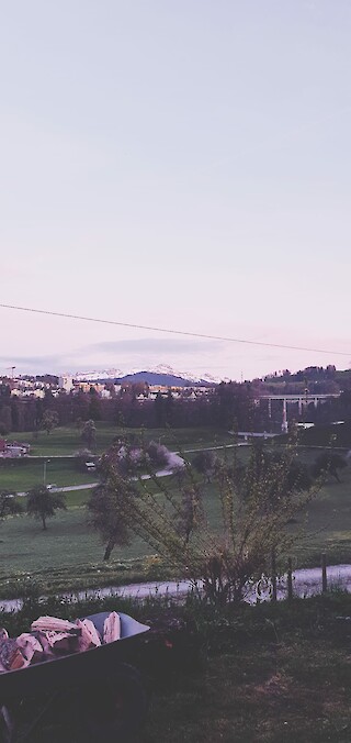 Pick of the Day. © Deborah Triggiano.