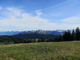 Pick of the Day. © Moreno Vogel.