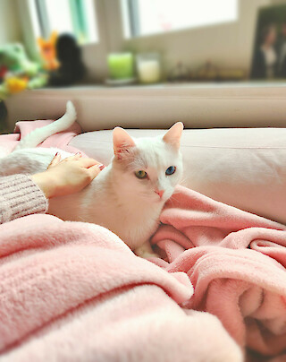 Picture of the Day. © Larissa Wild.