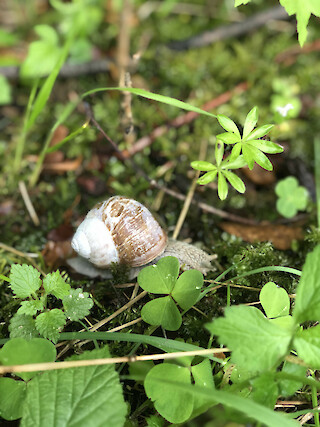 Picture of the Day. © Emma McMillin.