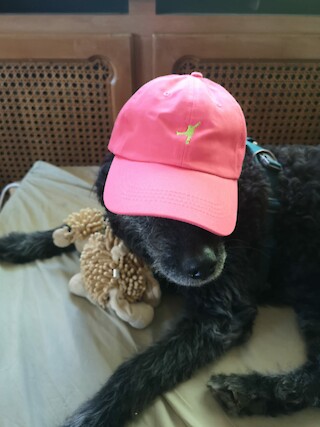 Picture of the Day. © Johannes Köberle.