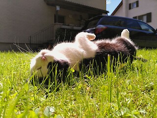 Picture of the Day. © Julian Schönbächler.