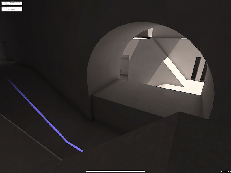 Spatial Abilities