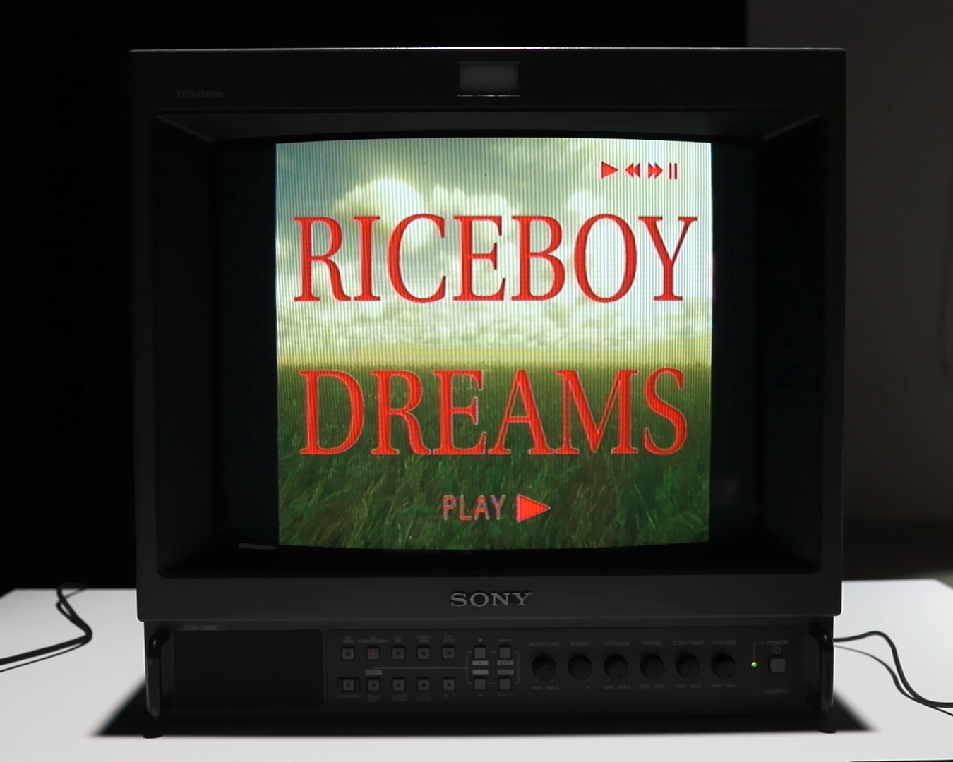 «RiceBoy Dreams» von Charles Hanil Roberge.